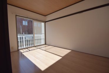ドミール・イダ