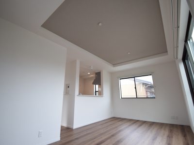 越谷市 袋山 売地