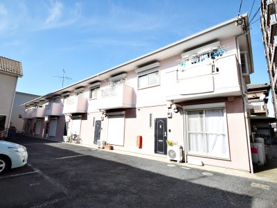 シーシェルピンク