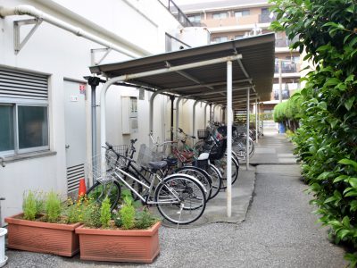 サンシャイン茜