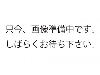 蒲生ローヤルコーポ