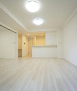 ライオンズプラザ三郷