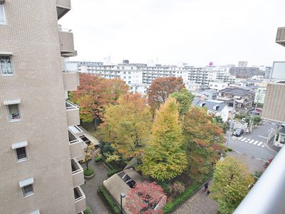 ヴィルヌーブ南越谷 C棟