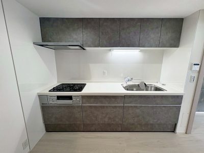 ヴィルヌーブ南越谷　B棟