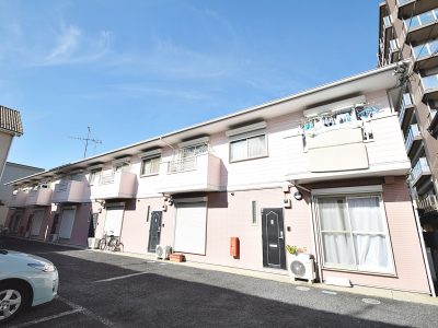 シーシェルピンク　101