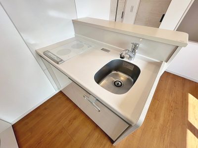 Reserve 越谷　レジデンス　301