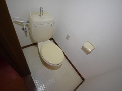 シーシェルピンク　101