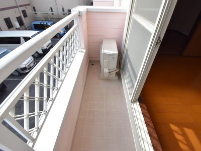 シーシェルピンク　101