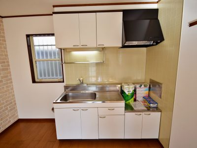 シーシェルピンク　101