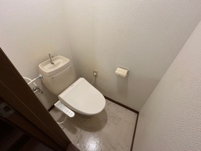 シーシェルピンク　105