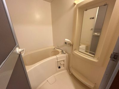 シーシェルピンク　105