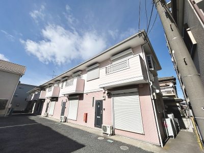 シーシェルピンク　105