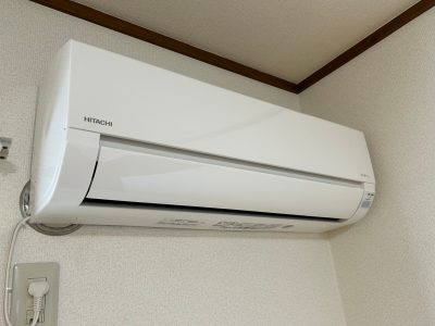 シーシェルピンク　105